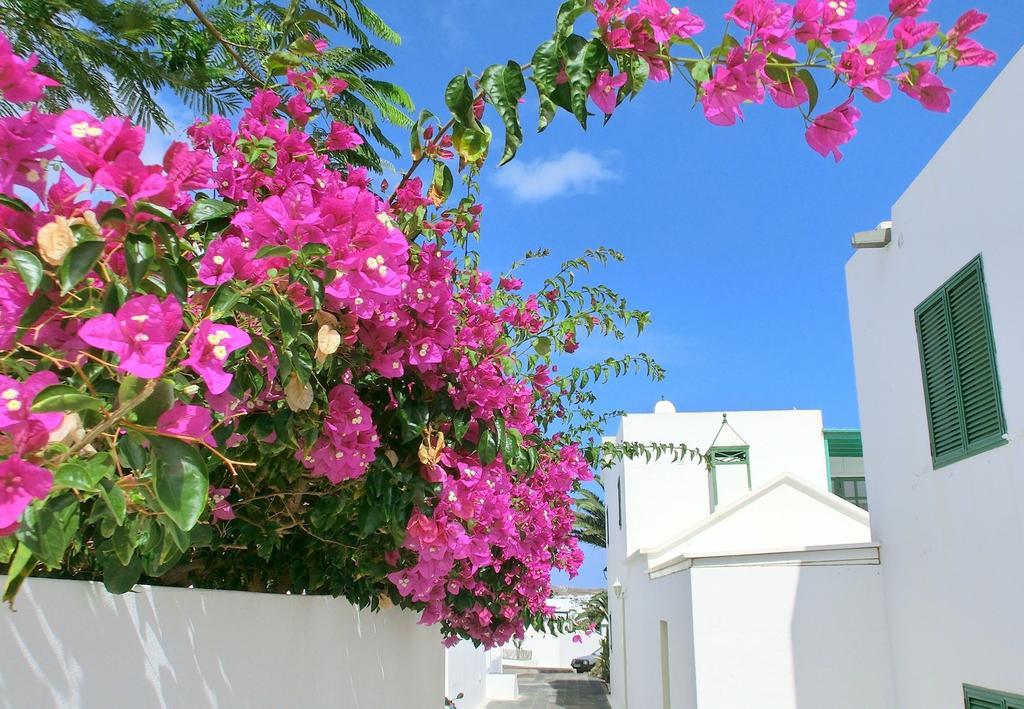 Villas Puerto Rubicon Playa Blanca  Exterior foto